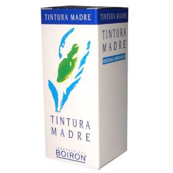 RIBES NIGRUM 60ML TM