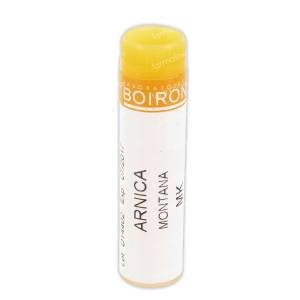 ARNICA MONTANA MK GL
