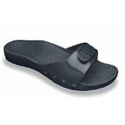 SCHOLL SUN