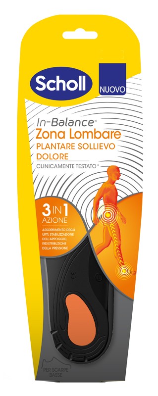 Scholl ZONA LOMBARE