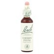 CHERRY PLUM