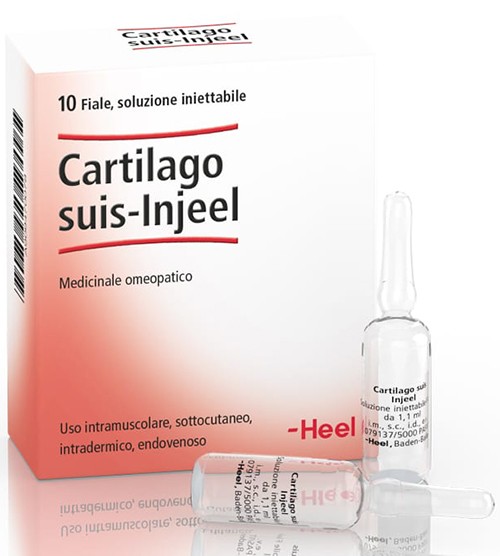 Cartilago suis-Injeel