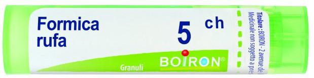 FORMICA RUFA 5 CH