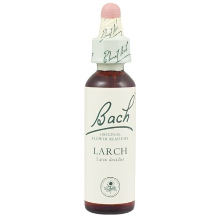 LARCH