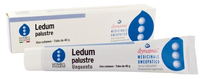 LEDUM PALUSTRE