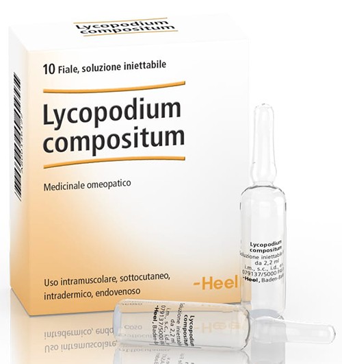 Lycopodium compositum