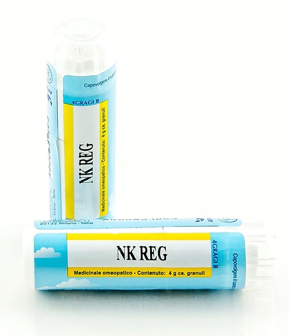 NK REG