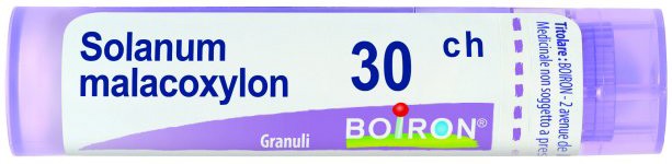 SOLANUM MALACOXYLON 30 CH