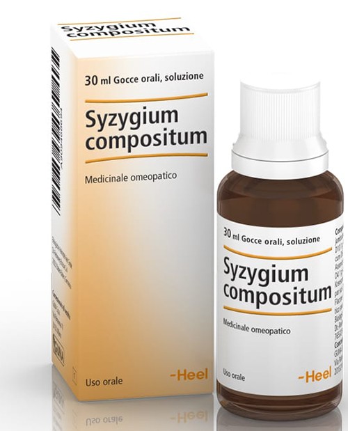 Syzygium compositum