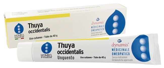 THUYA OCCIDENTALIS