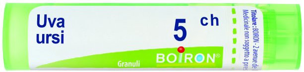 UVA URSINA 5 CH