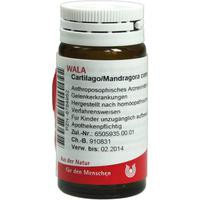 CARTILAGO MANDRAG 20G GL WALA