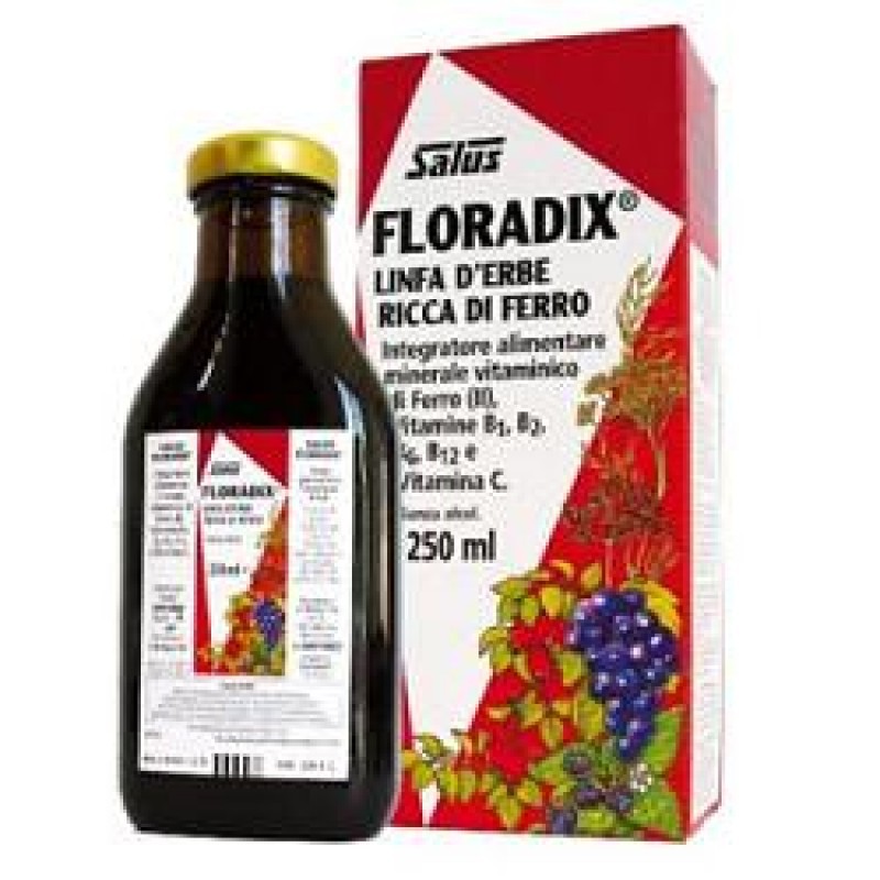 FLORADIX FERRO 250ML