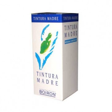 AESCULUS HIPPOCAST 60ML TM