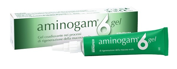 AMINOGAM 6 GEL