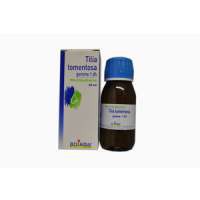 TILIA TOMENTOSA GEMME 60ML MG