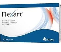 FLEXART 20CPR NF