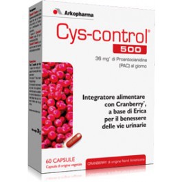 CYS CONTROL 500 60CPS