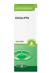 EUCALIPTO OLIO ESS 10ML