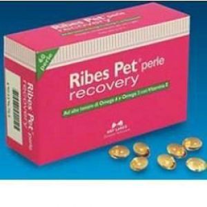 RIBES PET RECOVERY 60PRL