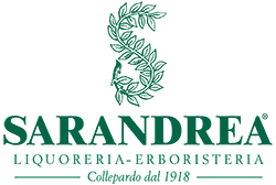 VACCINIUM VITIS/IDAEA 100ML MG