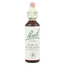 BACH CENTER ESS STAR BETHLEH20
