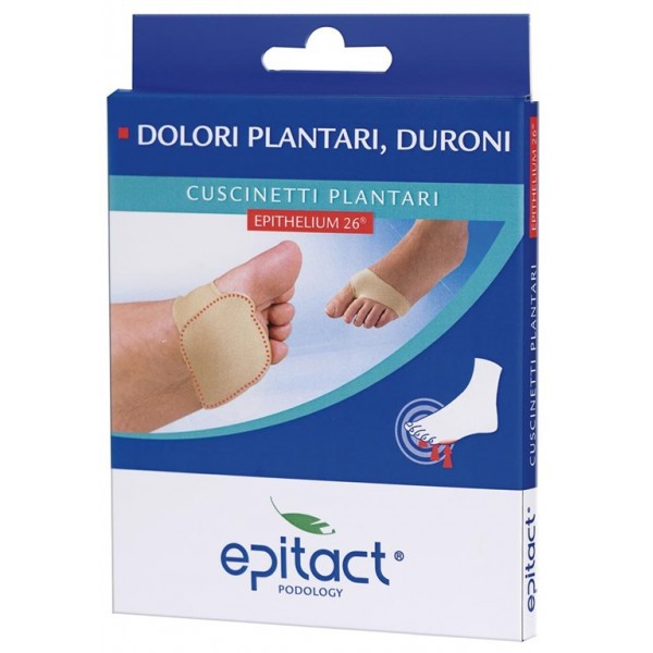 EPITACT CUSC PLANT M+CR TALL