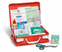 CASSETTA P.S. MEDIC  base (fino a 2 lavoratori)