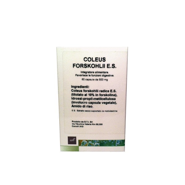 COLEUS FORSKOHLII 30CPS