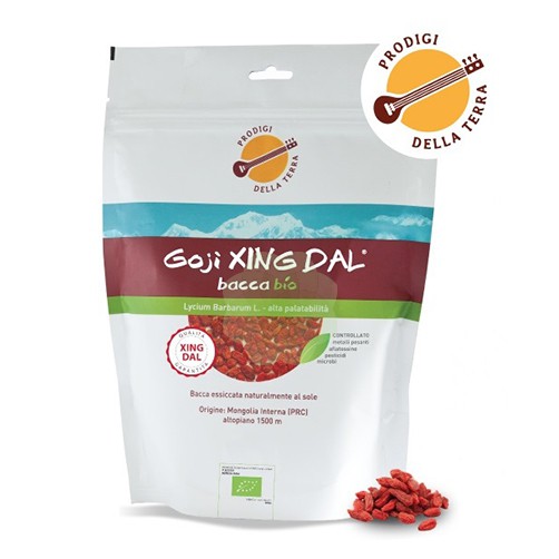 GOJI BACCA BIO XING DAL 500G
