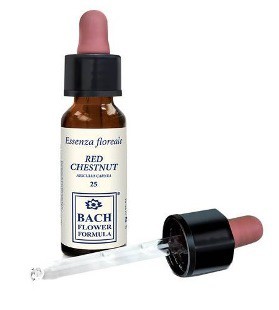 RED CHESTNUT ORIGINAL 10ML GTT