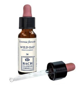 WILD OAT ORIGINAL 10ML GTT