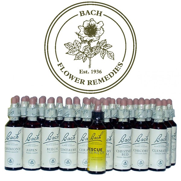 BACH CENTER ESS WILD OAT 20ML