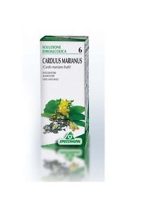 CARDO MARIANO 6 50ML TM
