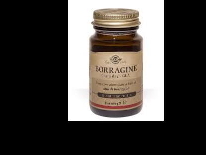 BORRAGINE ONE A DAY GLA 30PRL