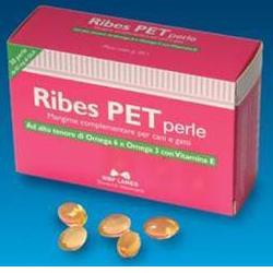 RIBES PET 30PRL