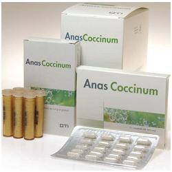 ANAS COCCINUM H 17 30F GLO